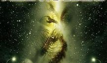 恐怖异形入侵在线观看,在线惊悚直播，生死边缘的求生之旅