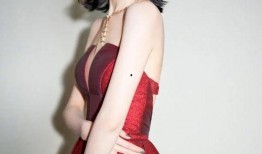 爆料娱乐圈王鸥的小说,王鸥的神秘恋情揭秘