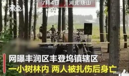 最新唐山爆料案件视频,真相揭露，正义终将到来