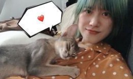 抖音小宝哥爆料视频大全,揭秘热门事件幕后真相