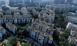 深圳龙岗区最新爆料,聚焦区域发展新动态