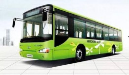 3路公交车爆料新闻报道,揭秘城市交通新动态