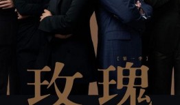 独家爆料官宣视频大全集,官宣视频大全集幕后故事大公开