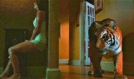 美女绑视频在线观看,独家视角带你领略视觉盛宴