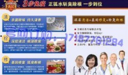 新闻爆料做的视频能卖多少钱,揭秘热门新闻视频的盈利潜力