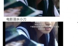 我在娱乐圈吃瓜小说免费,揭秘吃瓜小说背后的真实故事