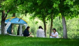 女子爆料破坏草地视频播放,女子爆料破坏草地视频引发热议