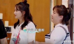 娱乐吃瓜酱完整,揭秘娱乐圈幕后故事，带你领略明星们的真实生活