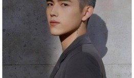 圈内爆料陈红,揭秘娱乐圈不为人知的幕后故事