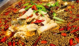 椒麻鱼爆料视频大全集播放,一场视觉与味蕾的双重盛宴