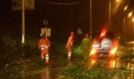 最新爆料台风视频播放