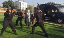 辅警爆料打架视频真实,还原街头激烈打斗现场，真相令人震惊