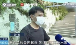 吃瓜网红被拐卖,揭开网络背后的黑暗面