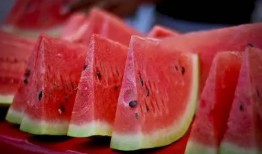 东北吃瓜网红是谁啊图片