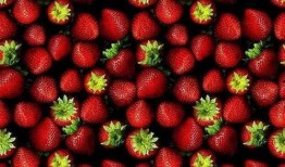 草莓皮肤爆料视频大全最新,揭秘最新游戏角色魅力瞬间