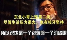 东北小哥爆料青龙视频,青龙视频背后的惊人真相