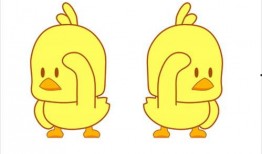 娱乐爆料小黄鸭是真的吗,娱乐爆料是否属实？