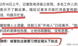 爆料撕春联贾先生视频,贾先生视频引发网友热议