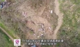 科比遗体爆料视频,揭秘篮球巨星离世真相