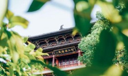 泰州景点爆料事件视频