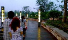 昨日公园在线观看,全景直播带你领略自然之美