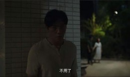 侦探爆料缅甸事件真相视频,侦探爆料背后的真相曝光
