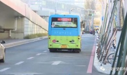 142路公交车爆料视频,惊现惊人一幕！