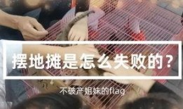 网红爆料地摊是真的吗视频,地摊真相揭秘，视频揭露不为人知的一面
