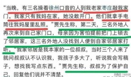 爆料撕春联贾先生视频,贾先生视频引发网友热议