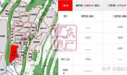 最新重庆爆料,揭秘城市热点事件背后的真相