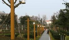 昨日公园在线观看,全景直播带你领略自然之美