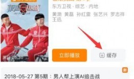 小伙节目爆料大全视频下载,揭秘热门视频幕后故事