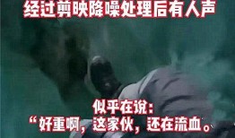 侦探爆料缅甸事件真相视频,侦探爆料背后的真相曝光