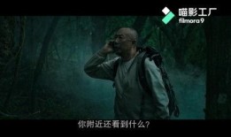 失踪 在线观看,在线揭秘失踪事件的背后真相