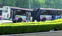142路公交车爆料视频,惊现惊人一幕！