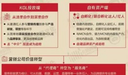 爆料带货视频怎么做好看,打造吸睛视觉盛宴